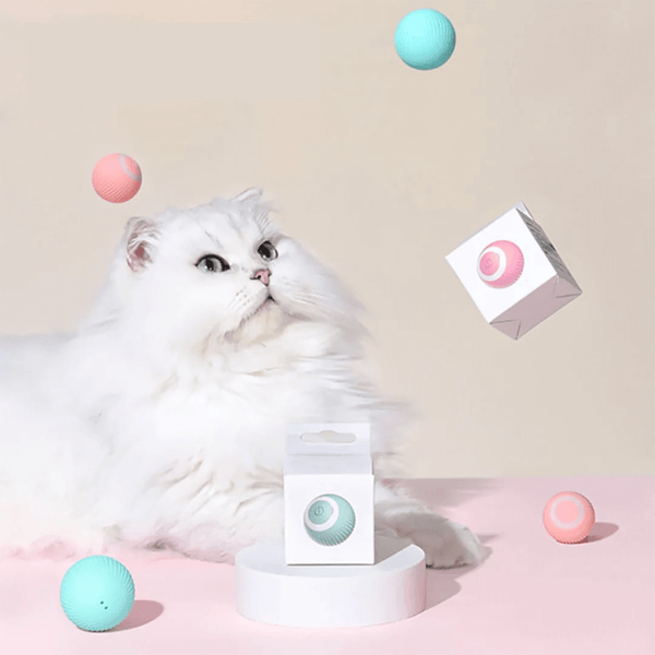 interactive toy / cat / smart / smart toy / Interactive self-rolling toy ball for cats / smart cat ball / ball / toy ball/ imydollartea.shop